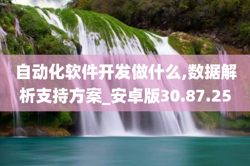 自动化软件开发做什么,数据解析支持方案_安卓版30.87.25