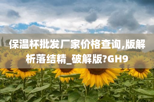 保温杯批发厂家价格查询,版解析落结精_破解版?GH9