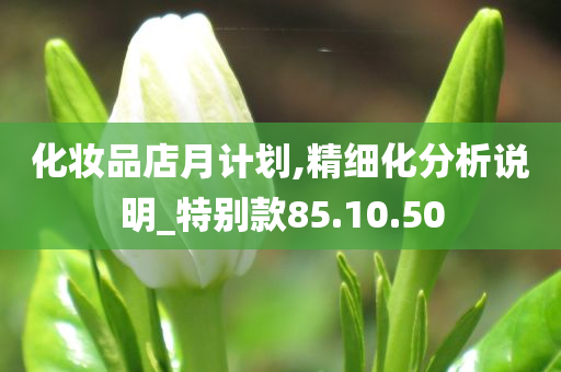 化妆品店月计划,精细化分析说明_特别款85.10.50