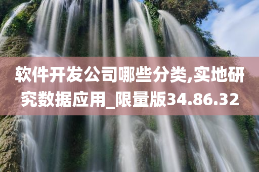 软件开发公司哪些分类,实地研究数据应用_限量版34.86.32