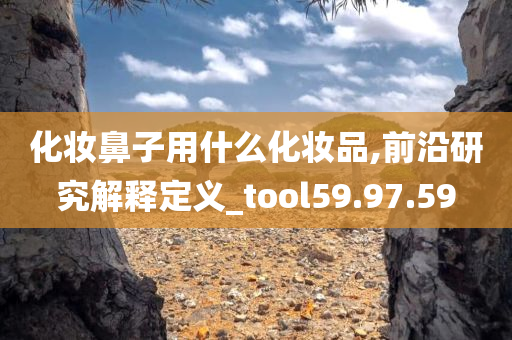 化妆鼻子用什么化妆品,前沿研究解释定义_tool59.97.59