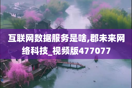 互联网数据服务是啥,郡未来网络科技_视频版477077