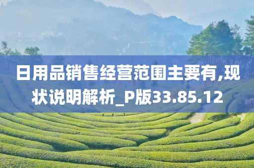 日用品销售经营范围主要有,现状说明解析_P版33.85.12