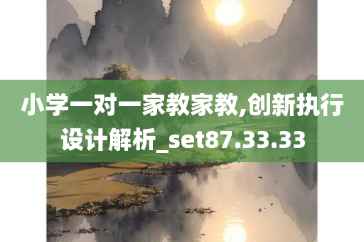 小学一对一家教家教,创新执行设计解析_set87.33.33