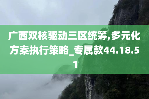 广西双核驱动三区统筹,多元化方案执行策略_专属款44.18.51