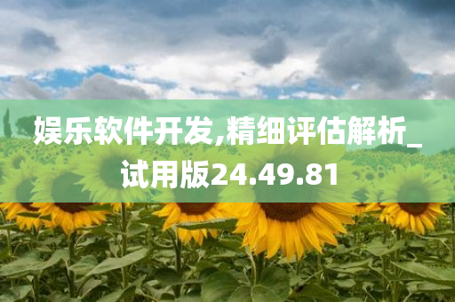 娱乐软件开发,精细评估解析_试用版24.49.81