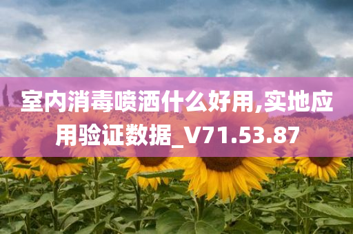 室内消毒喷洒什么好用,实地应用验证数据_V71.53.87