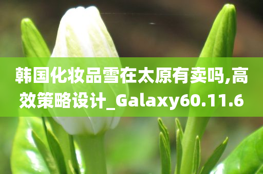 韩国化妆品雪在太原有卖吗,高效策略设计_Galaxy60.11.60