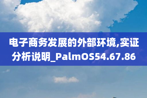 电子商务发展的外部环境,实证分析说明_PalmOS54.67.86