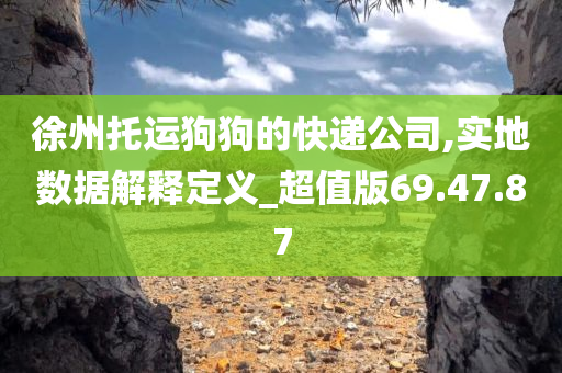 徐州托运狗狗的快递公司,实地数据解释定义_超值版69.47.87