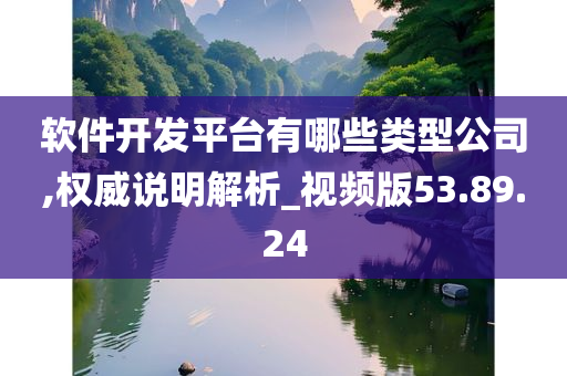 软件开发平台有哪些类型公司,权威说明解析_视频版53.89.24