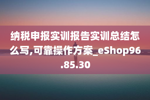 纳税申报实训报告实训总结怎么写,可靠操作方案_eShop96.85.30