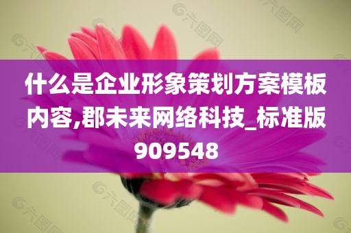 什么是企业形象策划方案模板内容,郡未来网络科技_标准版909548