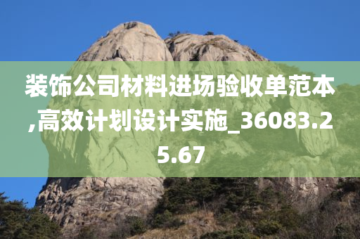 装饰公司材料进场验收单范本,高效计划设计实施_36083.25.67