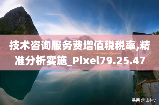 技术咨询服务费增值税税率,精准分析实施_Pixel79.25.47