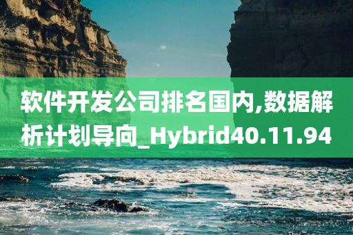 软件开发公司排名国内,数据解析计划导向_Hybrid40.11.94