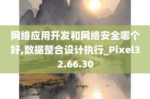 网络应用开发和网络安全哪个好,数据整合设计执行_Pixel32.66.30