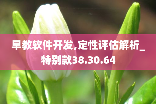 早教软件开发,定性评估解析_特别款38.30.64