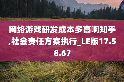 网络游戏研发成本多高啊知乎,社会责任方案执行_LE版17.58.67