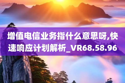 增值电信业务指什么意思呀,快速响应计划解析_VR68.58.96