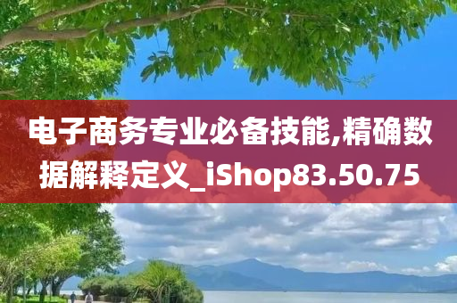 电子商务专业必备技能,精确数据解释定义_iShop83.50.75