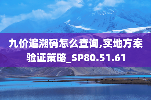 九价追溯码怎么查询,实地方案验证策略_SP80.51.61