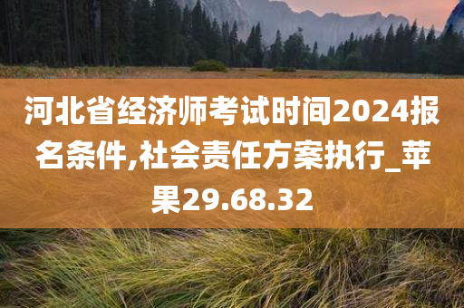 河北省经济师考试时间2024报名条件,社会责任方案执行_苹果29.68.32