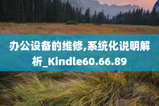 办公设备的维修,系统化说明解析_Kindle60.66.89