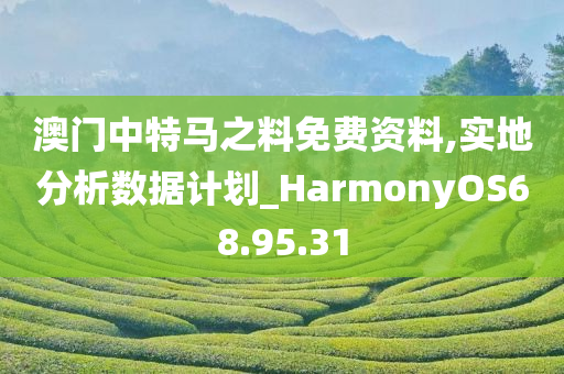 澳门中特马之料免费资料,实地分析数据计划_HarmonyOS68.95.31