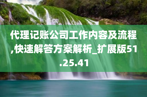 代理记账公司工作内容及流程,快速解答方案解析_扩展版51.25.41