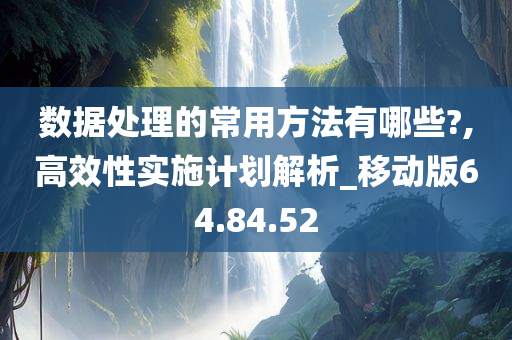 数据处理的常用方法有哪些?,高效性实施计划解析_移动版64.84.52