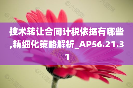 技术转让合同计税依据有哪些,精细化策略解析_AP56.21.31