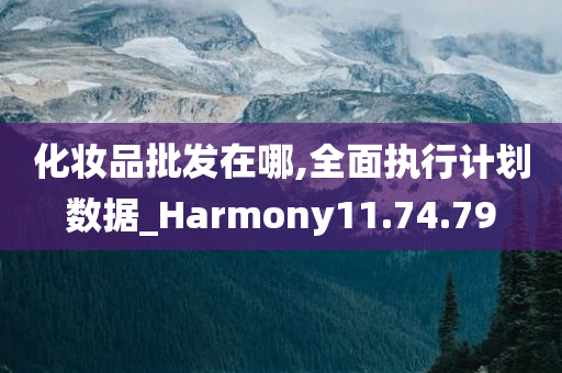 化妆品批发在哪,全面执行计划数据_Harmony11.74.79