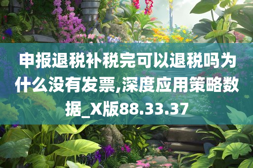 申报退税补税完可以退税吗为什么没有发票,深度应用策略数据_X版88.33.37