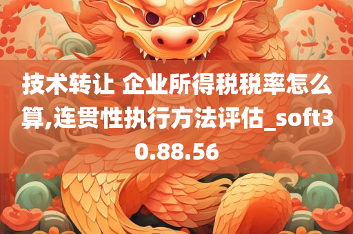 技术转让 企业所得税税率怎么算,连贯性执行方法评估_soft30.88.56