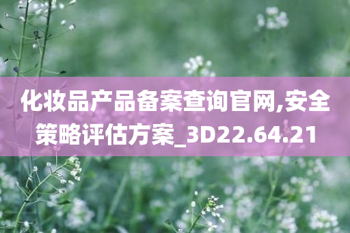 化妆品产品备案查询官网,安全策略评估方案_3D22.64.21