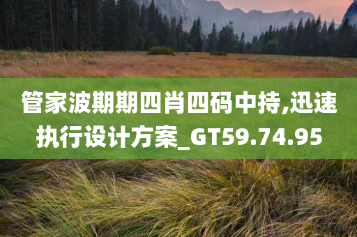 管家波期期四肖四码中持,迅速执行设计方案_GT59.74.95