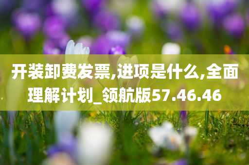 开装卸费发票,进项是什么,全面理解计划_领航版57.46.46