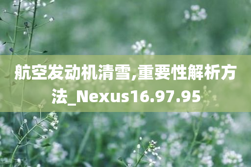 航空发动机清雪,重要性解析方法_Nexus16.97.95