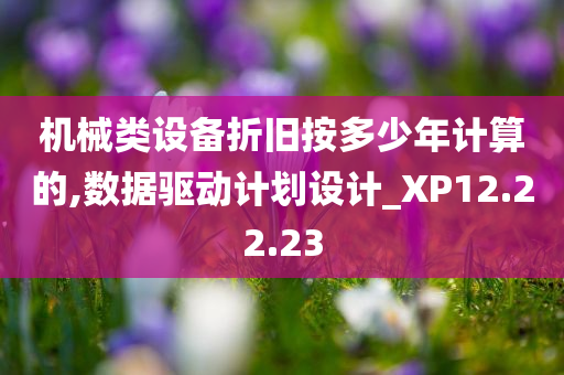 机械类设备折旧按多少年计算的,数据驱动计划设计_XP12.22.23