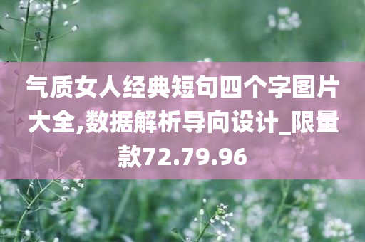 气质女人经典短句四个字图片大全,数据解析导向设计_限量款72.79.96