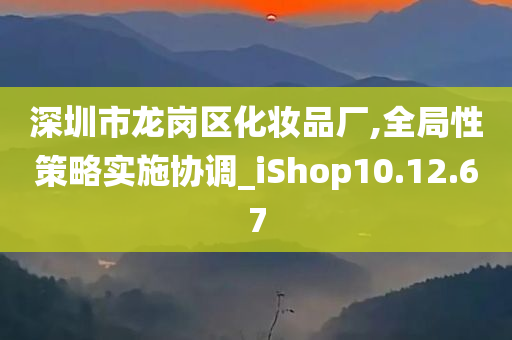 深圳市龙岗区化妆品厂,全局性策略实施协调_iShop10.12.67