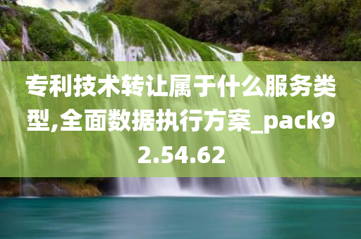 专利技术转让属于什么服务类型,全面数据执行方案_pack92.54.62