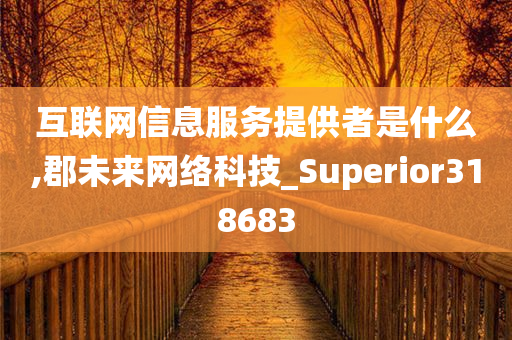 互联网信息服务提供者是什么,郡未来网络科技_Superior318683