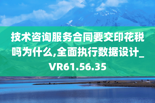 技术咨询服务合同要交印花税吗为什么,全面执行数据设计_VR61.56.35