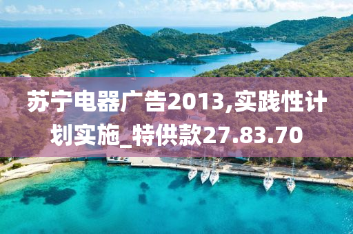 苏宁电器广告2013,实践性计划实施_特供款27.83.70