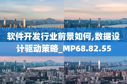 软件开发行业前景如何,数据设计驱动策略_MP68.82.55