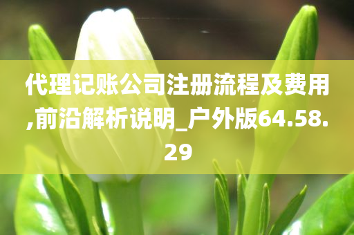 代理记账公司注册流程及费用,前沿解析说明_户外版64.58.29