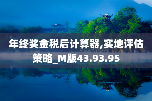 年终奖金税后计算器,实地评估策略_M版43.93.95