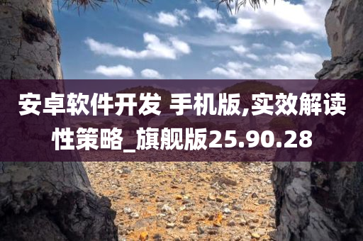 安卓软件开发 手机版,实效解读性策略_旗舰版25.90.28